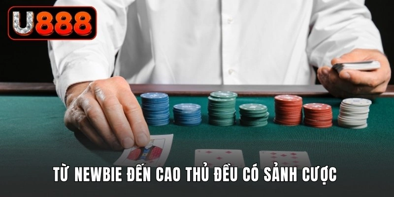 Từ newbie đến cao thủ đều có sảnh cược